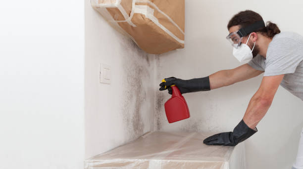 Attic Mold Remediation treatment on roof deck in Julian